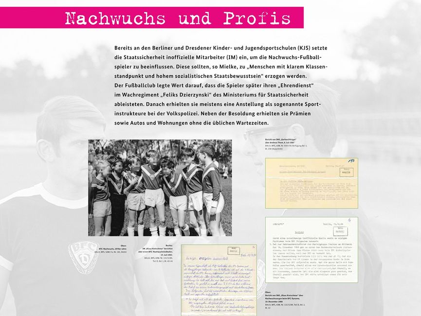 Ausstellungsmodul 5 "Nachwuchs und Profis"