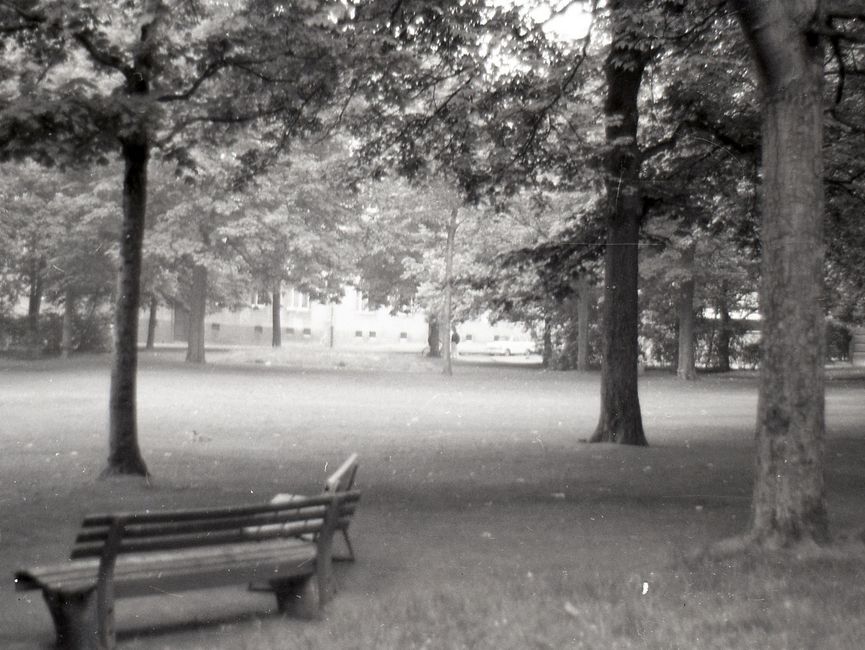 [Das schwarzweiße Negativ zeigt den Blick durch zwei Bäume auf eine vermeintliche Parkfläche. Am unteren Bildrand stehen zwei Parkbänke. Im Anschluss an die mäßig große Rasenfläche stehen weitere Baumreihen, im Hintergrund sind zwei Personen und eine angrenzende Häuserzeile zu sehen.]